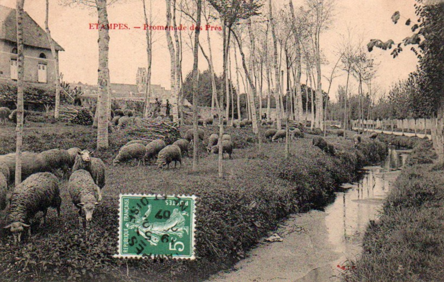 cpa.etampes.sgip.promenadedespres.ex02r.png cpa.etampes.sgip.promenadedespres.ex02r.png