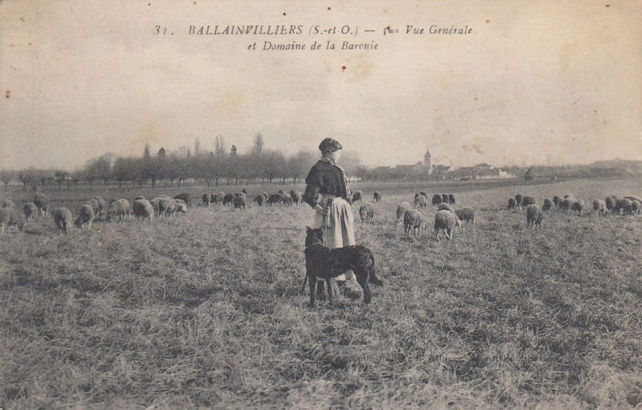 cpa.ballainvilliers.allorge.31.3evuegenerale.ex01r.png cpa.ballainvilliers.allorge.31.3evuegenerale.ex01r.png