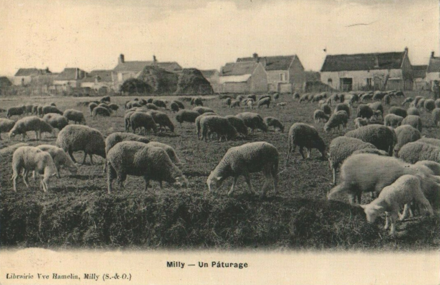 cpa.milly.hamelin.unpaturage.ex01r.png cpa.milly.hamelin.unpaturage.ex01r.png