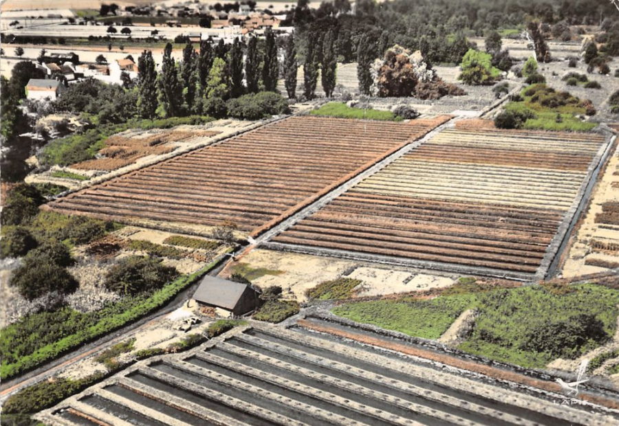 cpa.boutigny.lapie.09.lescressonieres.ec02r.png cpa.boutigny.lapie.09.lescressonieres.ec02r.png