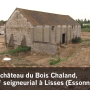 photo.lisses.inrap.lachateauduboischaland2008video.png